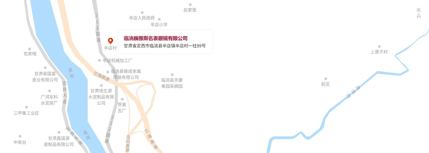 甘肅省定西市臨洮縣辛店鎮辛店村一社99號